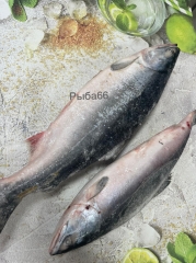 Горбуша свежий улов, с головой, икра 70% рыб не потрошеная размер 0,8-1,2 кг  ЦЕНА за 1 кг