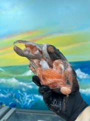 Набор на уху из морской форели (голова, хребет, хвост) ЦЕНА за 1 кг 