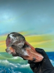 Набор на уху из морской форели (голова, хребет, хвост) ЦЕНА за 1 кг 