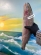 notify_thumb