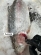 notify_thumb