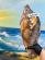 notify_thumb