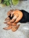 notify_thumb
