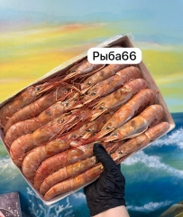 Лангусты с головой коробка 2 кг  ( цена за 2 кг)  размер L1