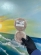 notify_thumb