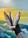 notify_thumb
