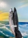 notify_thumb